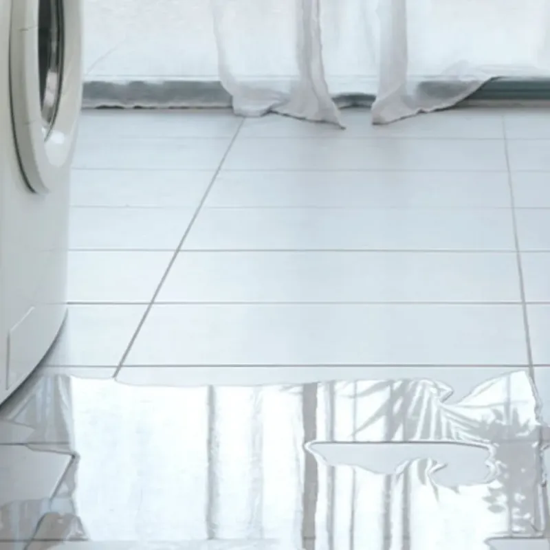 Appliance Leak Cleanup in Cheboygan, MI
