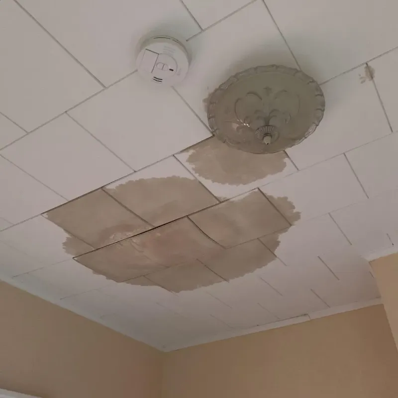 Ceiling Water Damage Repair in Cheboygan, MI