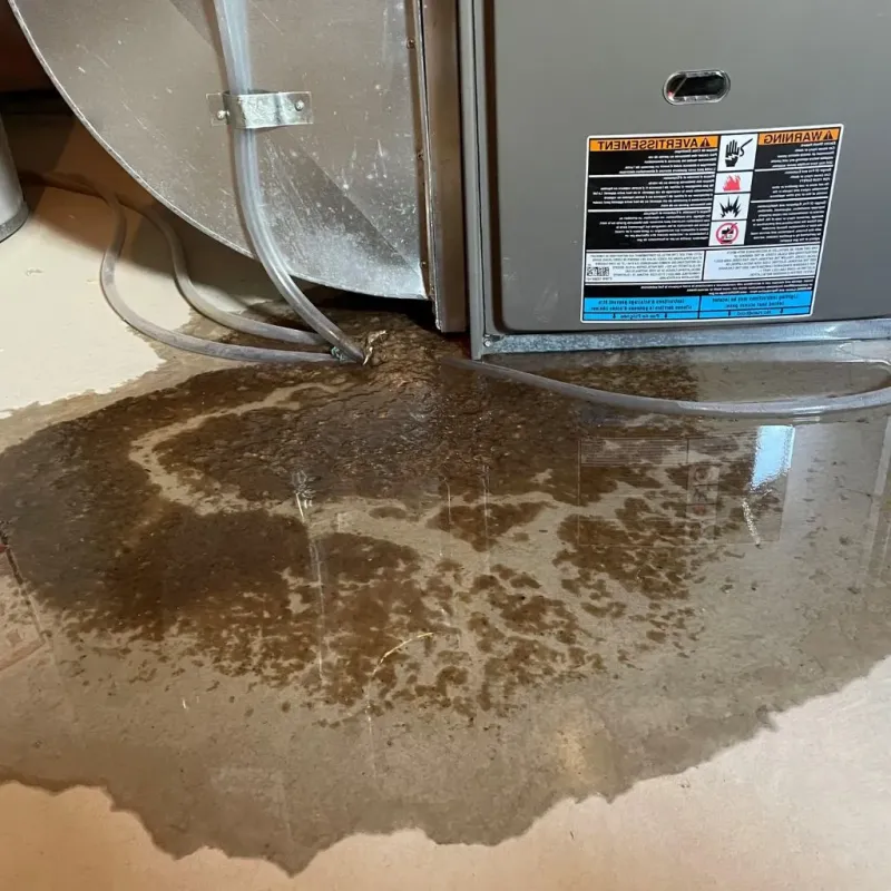 Pipe Burst and Leak Restoration in Cheboygan, MI